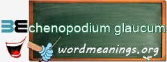 WordMeaning blackboard for chenopodium glaucum